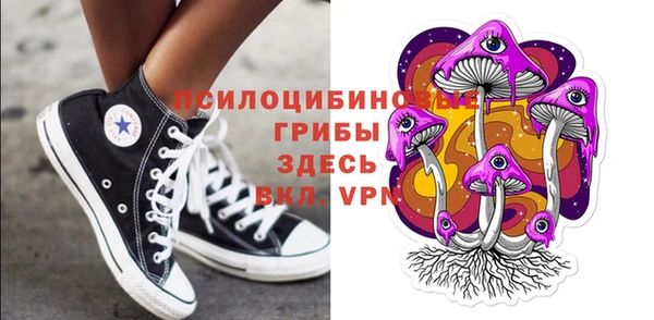 бутират Майский