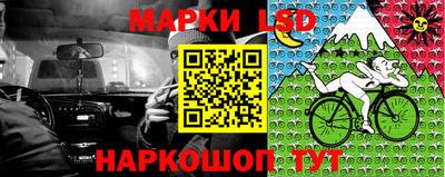 эйфоретик Берёзовский