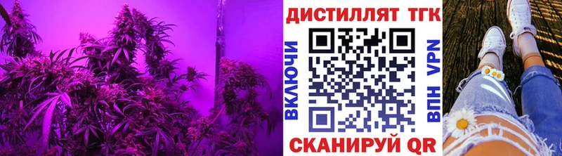 Дистиллят ТГК THC oil  Владивосток 