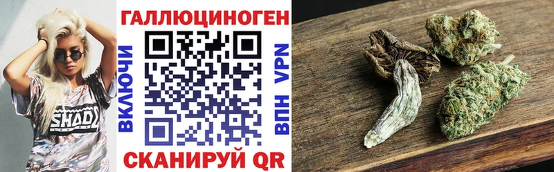 купить   Владивосток  маркетплейс наркотические препараты  Галлюциногенные грибы мицелий 